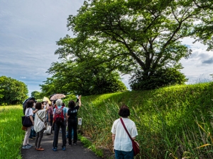 県営平城宮跡歴史公園　朱雀門ひろば　秋の万葉自然観察会