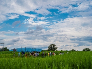 県営平城宮跡歴史公園　朱雀門ひろば　秋の万葉自然観察会