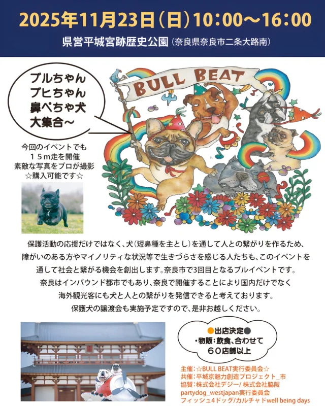 海を渡り、英国で百年以上座り続けた仔犬B正面！明治～大正期 平戸焼古伊万里九谷猫 海を渡り、英国で百年以上座り続けた仔犬A正面！明治～大正期 平戸焼古